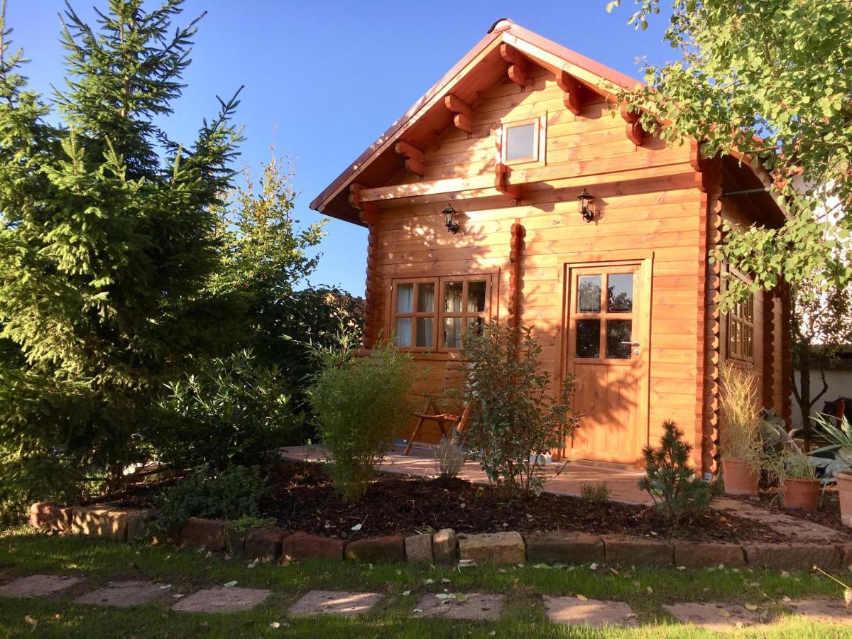 Kleine Pfalz Holiday home *