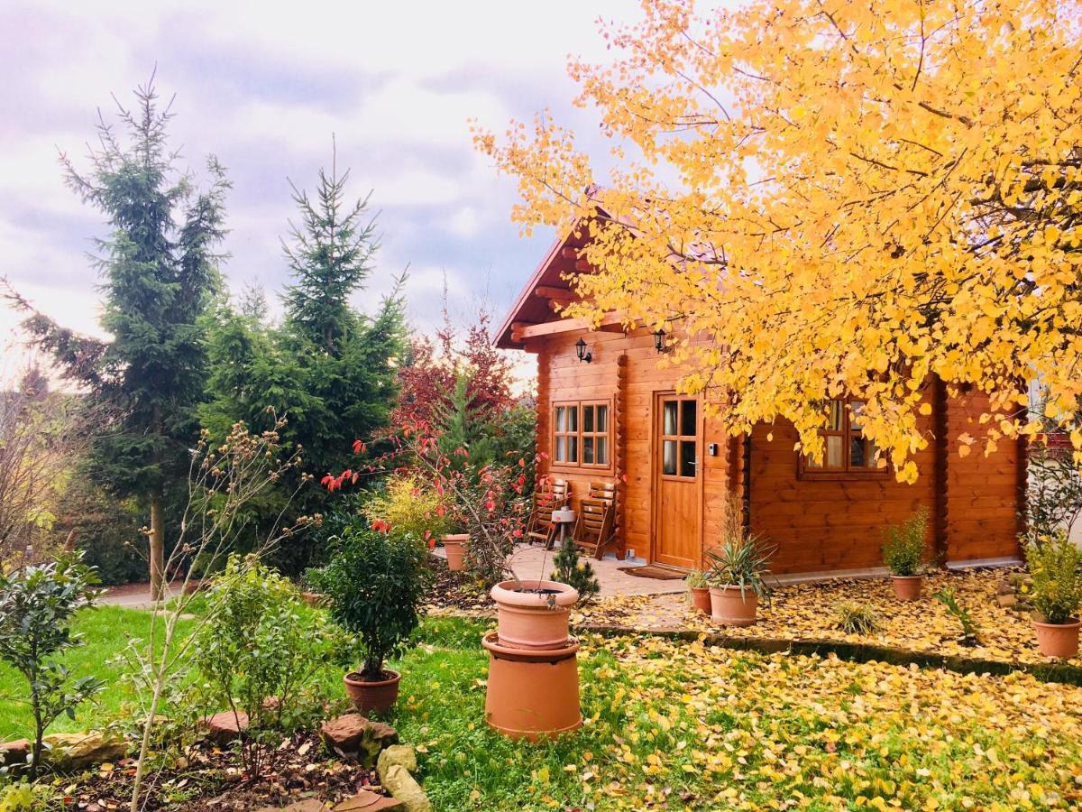 Kleine Pfalz Holiday home *