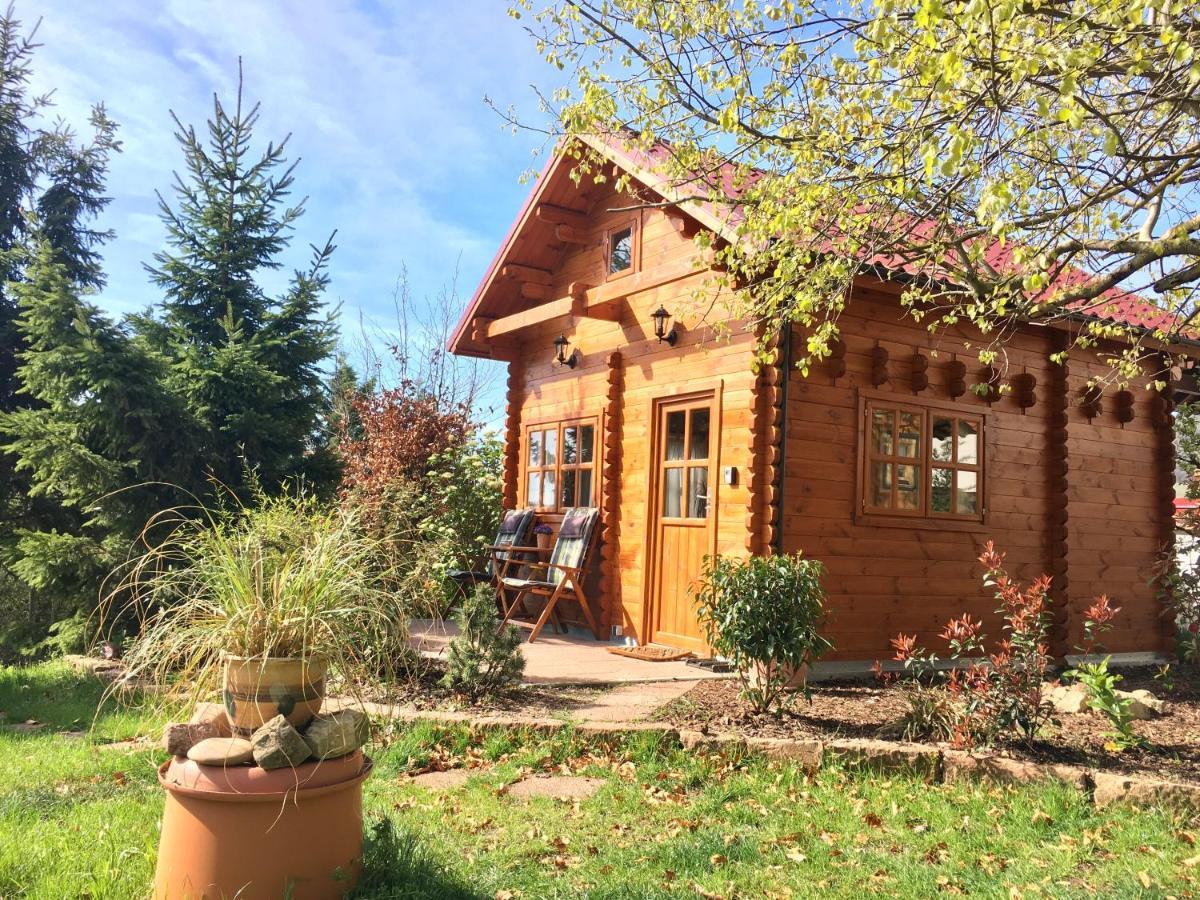 Kleine Pfalz Holiday home *
